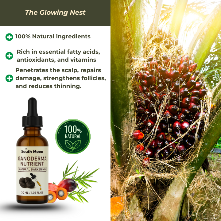 Hair Darkening Batana Oil